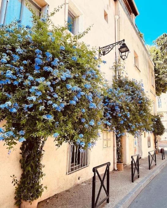 "Appart Aux Fleurs Bleus" Arles Fondation Van Gogh Kültér fotó